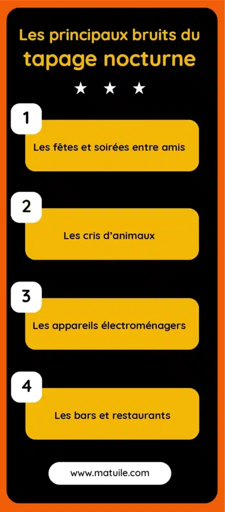 Classement des principaux bruits du tapage nocturne : les fêtes et soirées entre amis, les cris d'animaux, les appareils d'électroménager, les bars et restaurants.